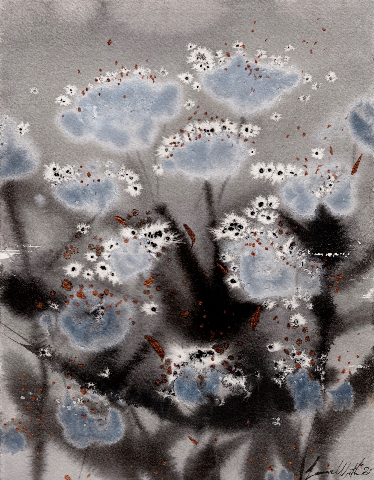 Blue Lace — Queen Anne's lace in ink, salt, and watercolor by Laurie Werth
