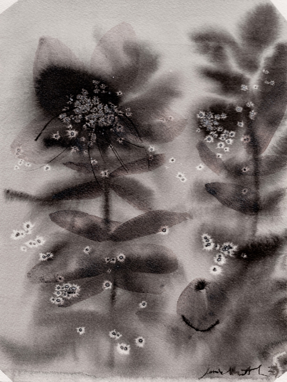 Fern Study — ink, salt, and watercolor botanical painting by Laurie Werth