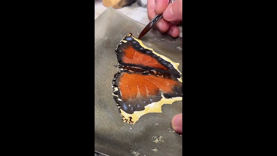 A Butterfly, Layer by Layer — process film by Laurie Werth