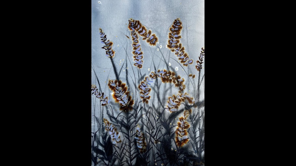 Lavender in ink and watercolor — process film by Laurie Werth
